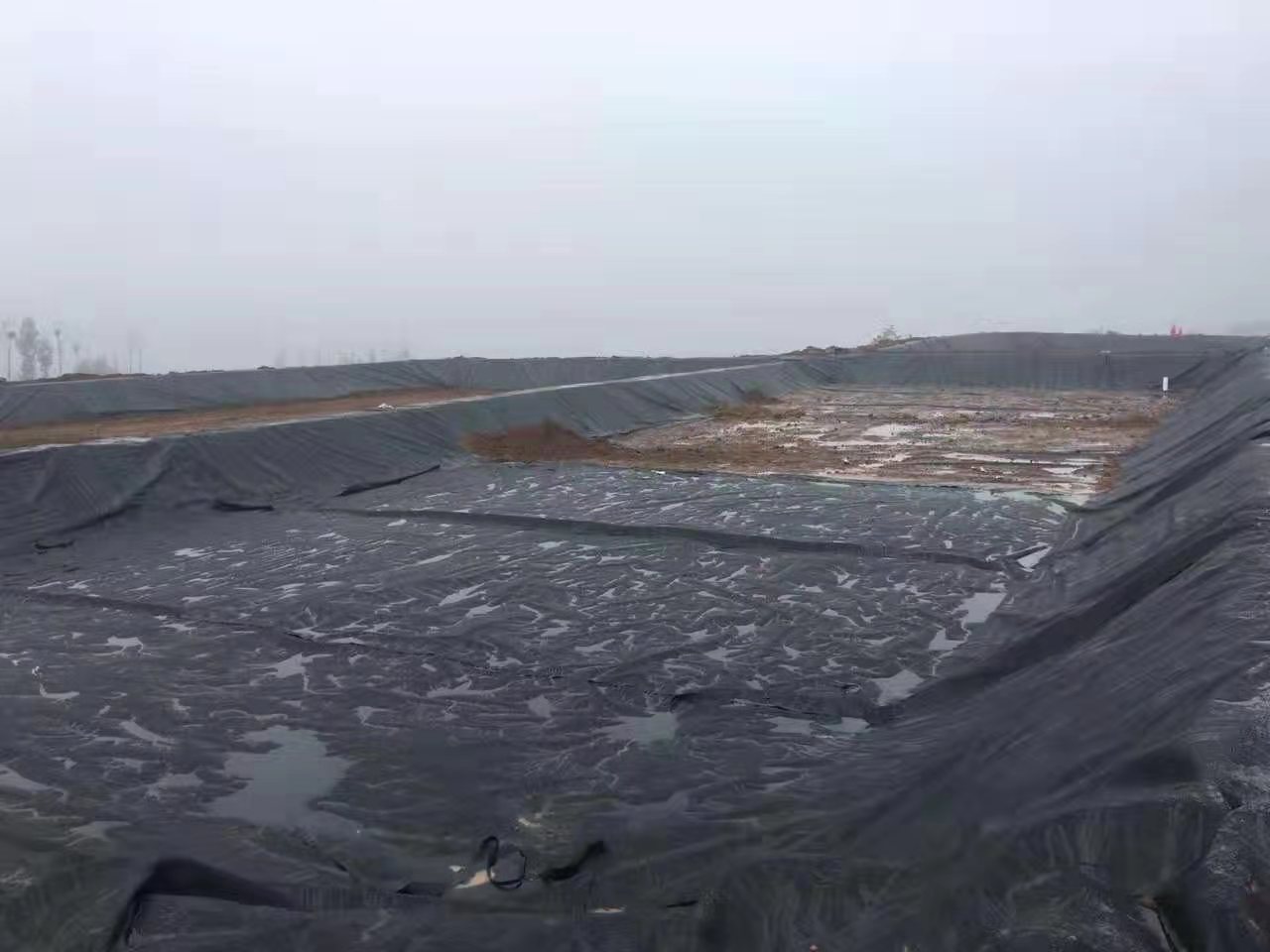 1-200616104R60-L.jpg